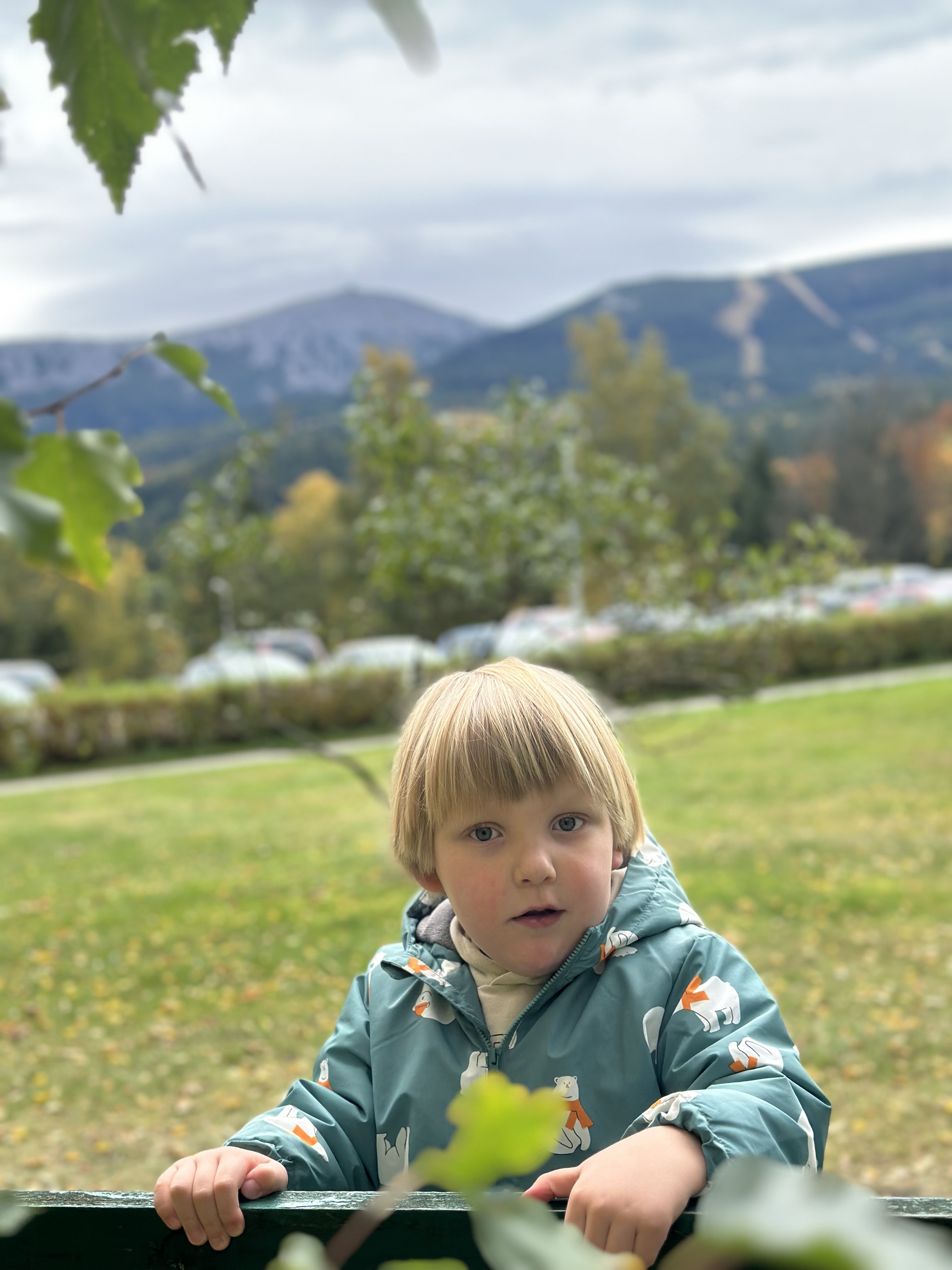 Dominik Radzvilovich