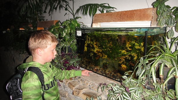 Wojtuś Obrzud